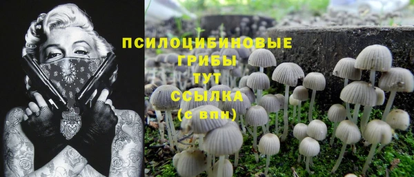 mdpv Зеленодольск