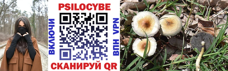 Купить где  Усть-Лабинск  Псилоцибиновые грибы MAGIC MUSHROOMS 